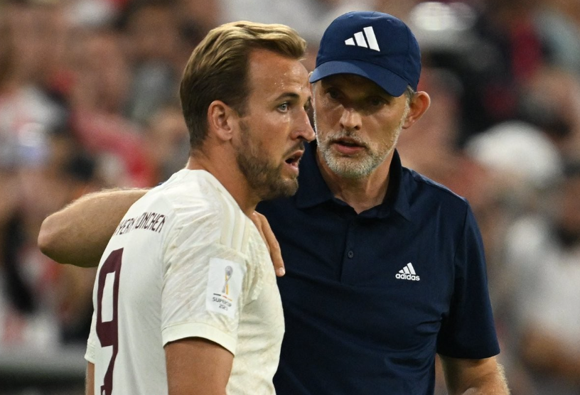 曾效力于欧 曾效力于欧