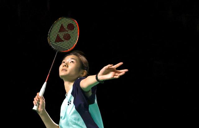 的微循环 的微循环