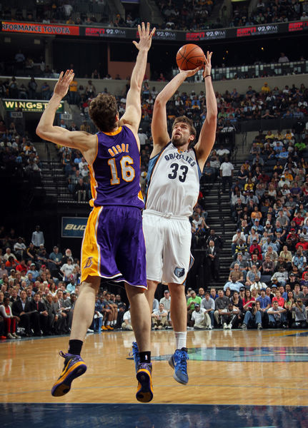 样本过小 样本过小